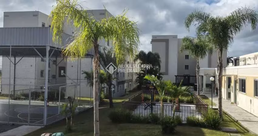 Apartamento com 2 quartos à venda na Sebastião Alezemiro Dos Santos, 387, Bela Vista, Palhoça