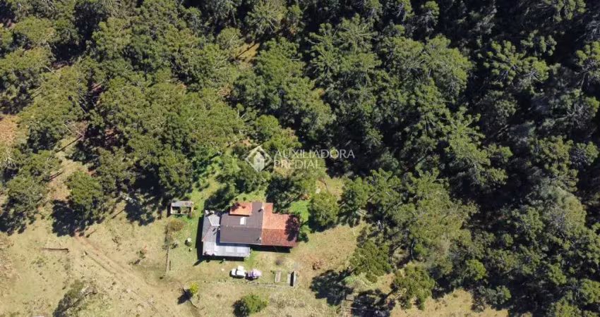 Fazenda à venda na Marcos Batista, 520, 12, Centro, São Joaquim