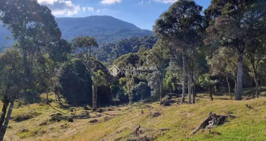 Terreno à venda na Estr. Geral Lomba Alta, 342, Centro, Bom Retiro