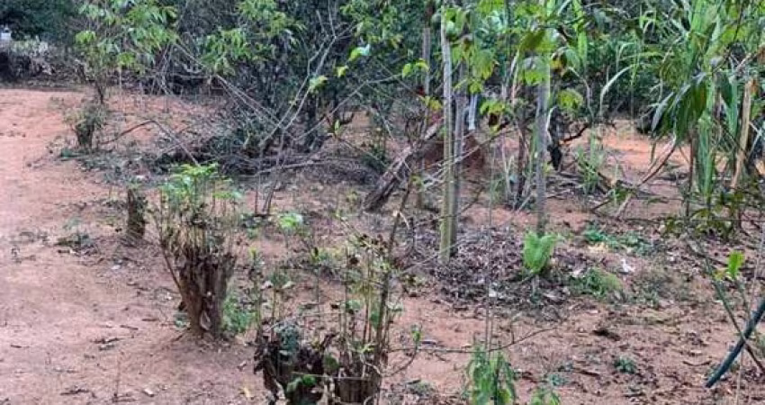 Terreno à venda no Centro, Igarapé 