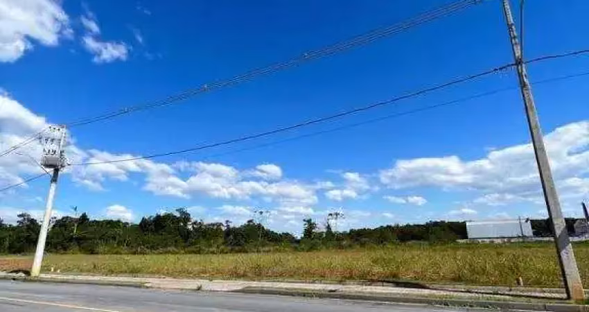 ÁREA INDUSTRIAL no COLEGIO AGRICOLA com 0 quartos para VENDA, 1240 m²