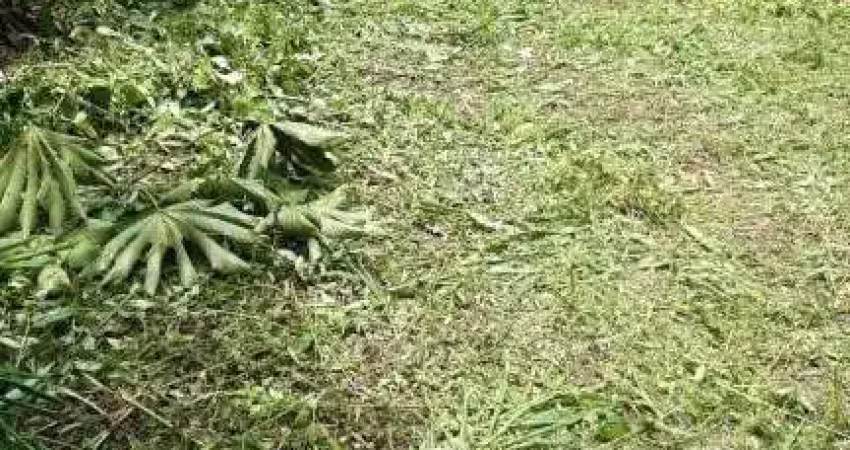 TERRENO no RIO BONITO com 0 quartos para VENDA, 30000 m²