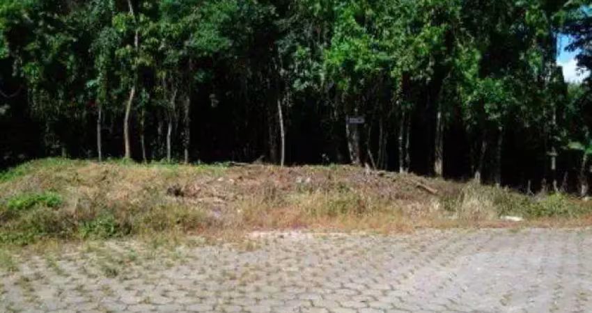 Terreno no petrópolis com 0 quartos para venda, 10994 m²