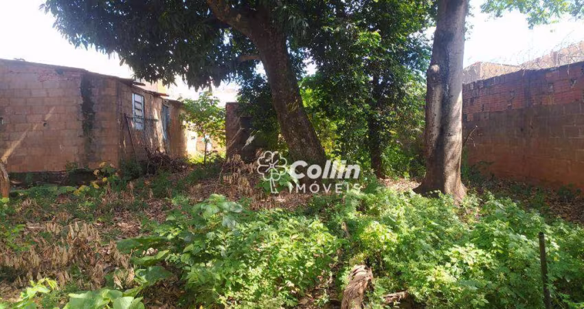 Terreno, 888 m² - venda por R$ 230.000,00 ou aluguel por R$ 1.500,00/mês - Nossa Senhora da Abadia - Uberaba/MG