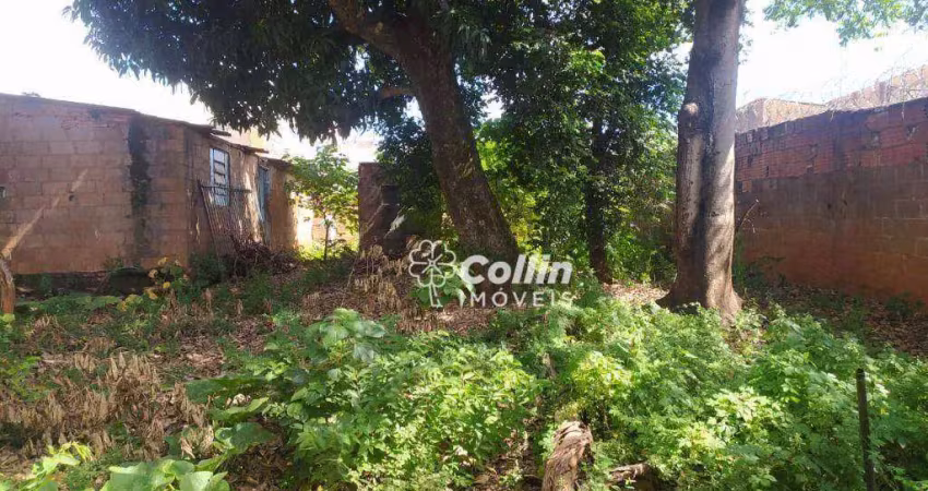 Terreno, 888 m² - venda por r$ 230.000,00 ou aluguel por r$ 1.500,00/mês - nossa senhora da abadia - uberaba/mg