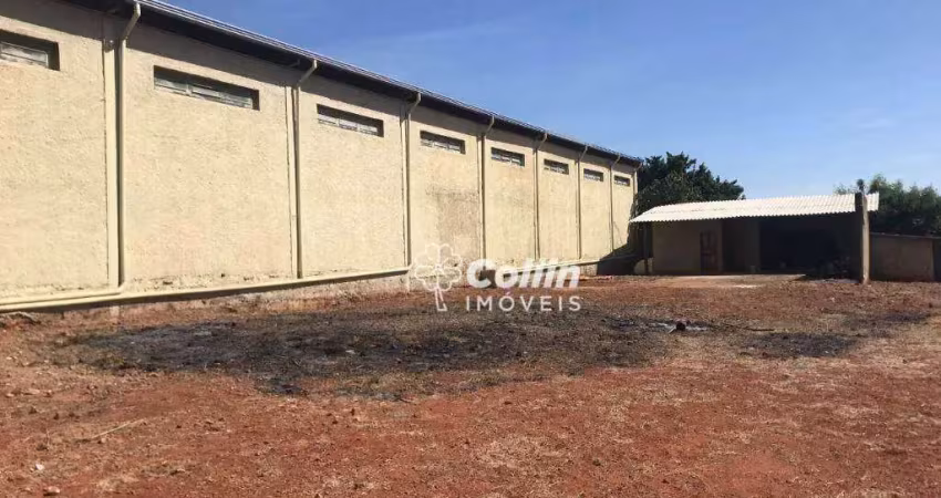 Terreno para alugar, 1500 m² por r$ 5.000,00/mês - nossa senhora da abadia - uberaba/mg