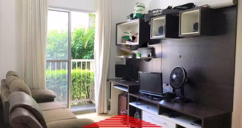 Lindo Apartamento no Cambuci.
