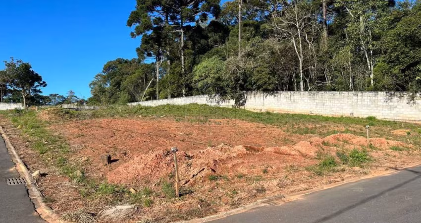 Terreno em condomínio fechado à venda na Rua Flamingos, 232, Gralha Azul, Fazenda Rio Grande