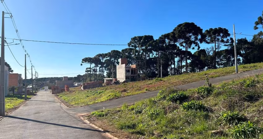 Terreno em condomínio fechado à venda na Rua Flamingos, 232, Gralha Azul, Fazenda Rio Grande