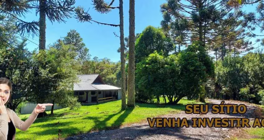 Chácara / sítio à venda na Rua Bocaiuva do Sul, Campo Alto, Tijucas do Sul