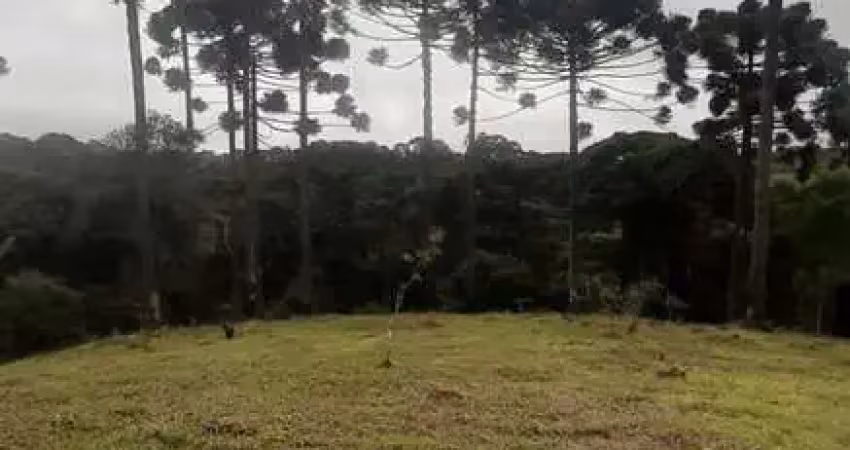 Chácara / sítio à venda no Estiva, Bocaiúva do Sul 