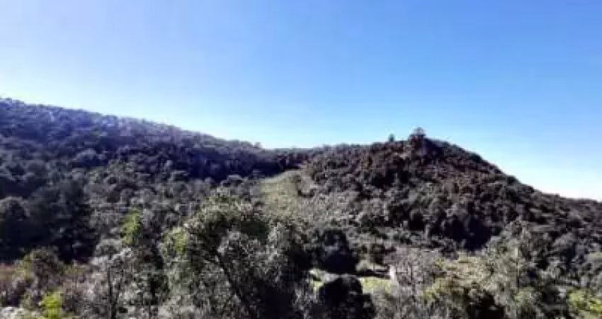 Chácara / sítio à venda na Área Rural, Zona Rural, Bocaiúva do Sul