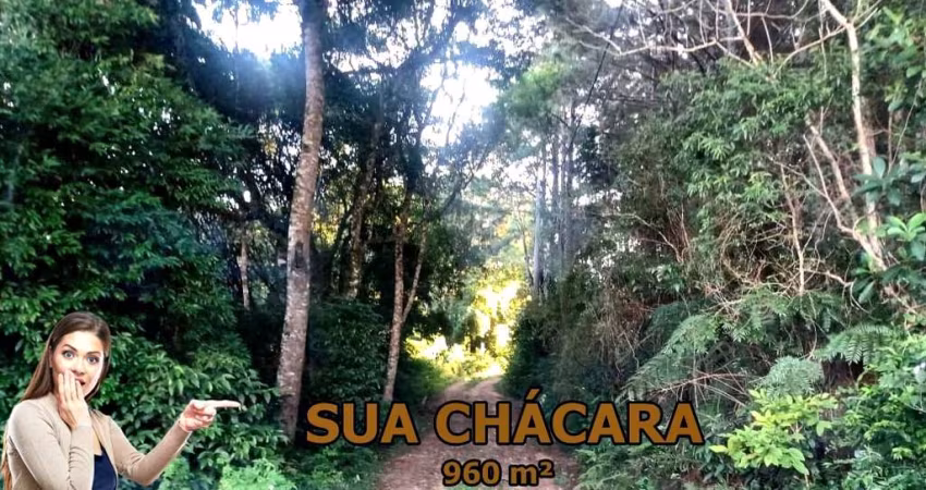 Chácara 960 m² - Bocaiuva do Sul