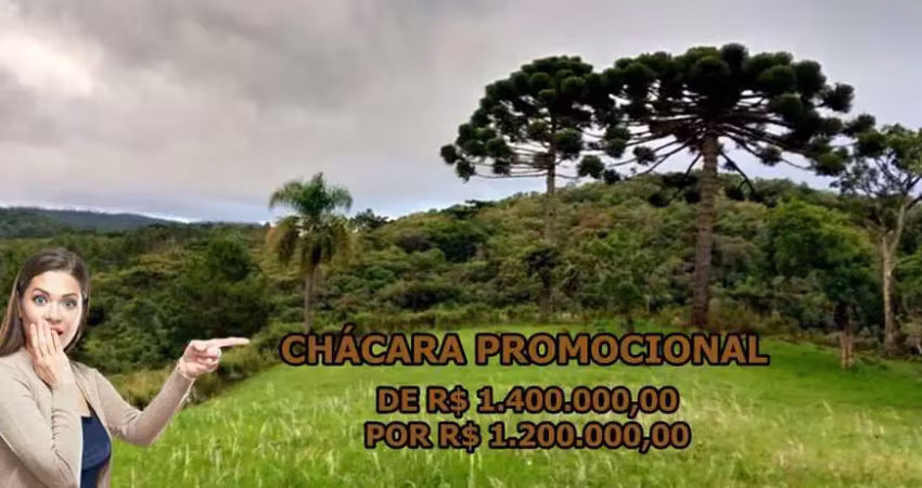 Chácara / sítio à venda na Zona Rural, Bocaiúva do Sul 