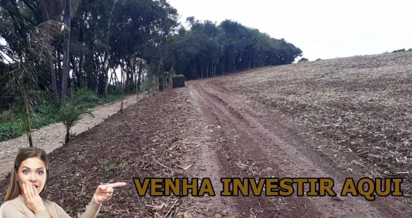 Chácara / sítio à venda na Rua dos Imigrantes, Colônia Balbino Cunha, Campo Largo