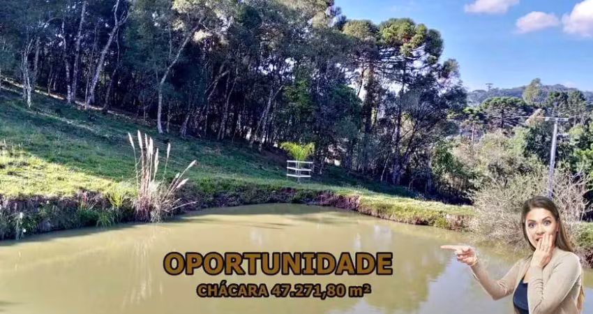 Chácara / sítio à venda na Área Rural, Zona Rural, Bocaiúva do Sul