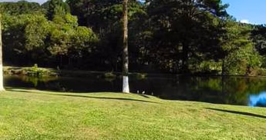 Chácara 6.000 m² - Bocaiuva do Sul