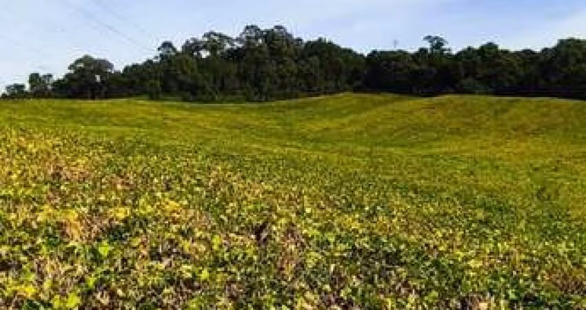 Chácara 20.141 m² - Ekko Village - Campo Largo/Pr