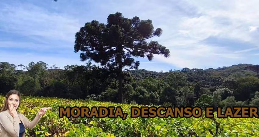 Chácara 20.099 m² - Ekko Village - Campo Largo/Pr