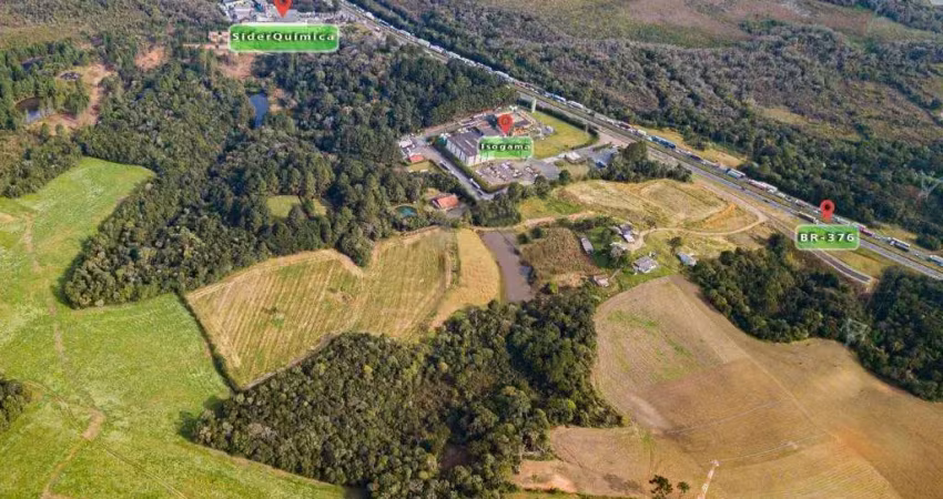 Terreno comercial à venda na Rodovia BR-376, Ouro Fino, São José dos Pinhais