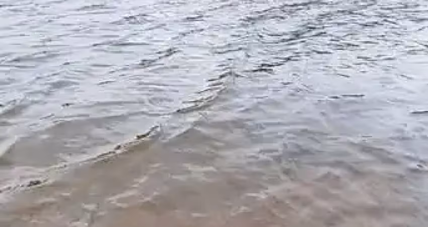 Chácara / sítio à venda na Rua Benjamim Constant Teixeira, Centro, Bocaiúva do Sul