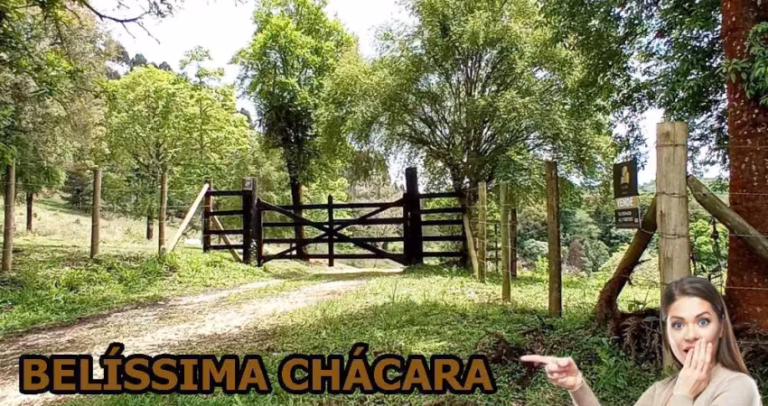Chácara / sítio à venda na Rua Afonso Strapasson, Roseira, Colombo