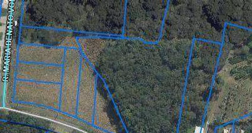 Terreno a venda Santa Felicidade, 833,74m² Lote D