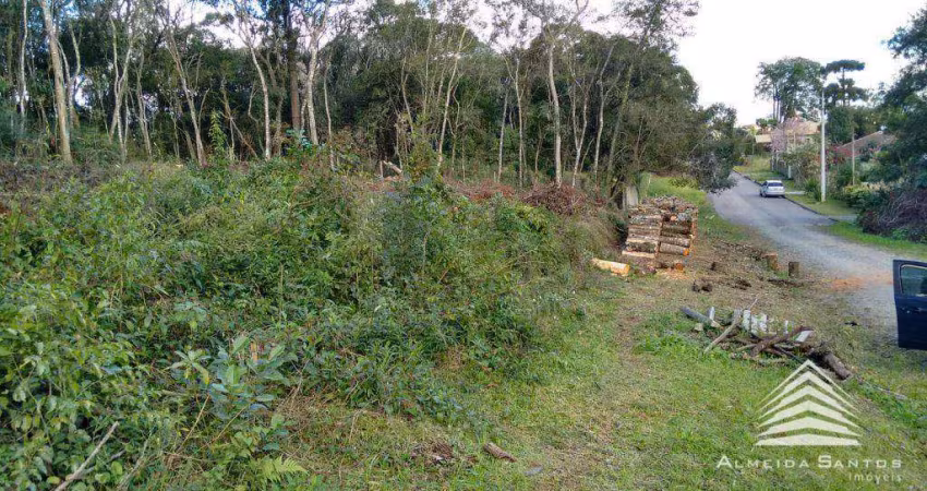 Terreno a venda em Santa Felicidade, 856 m², Rua Emílio Alexandrino da Silva