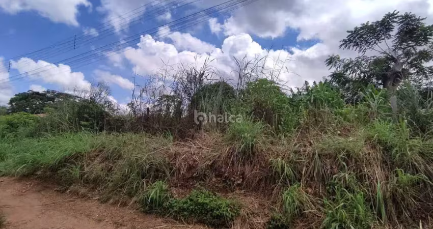 Lote/terreno à venda, no bairro angelim, teresina/pi