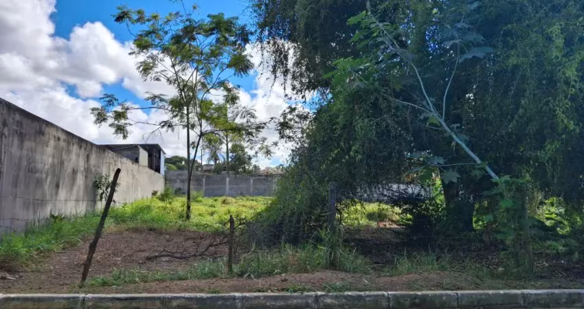Venha conhecer esse terreno pertinho de tudo e com excelente topografia