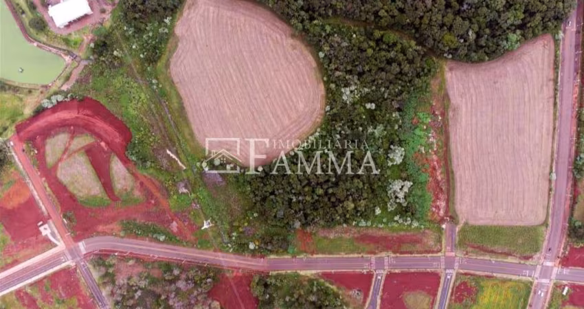 LOTES DISPONÍVEIS PARA VENDA NO BAIRRO SÃO LUIZ, PATO BRANCO - PR