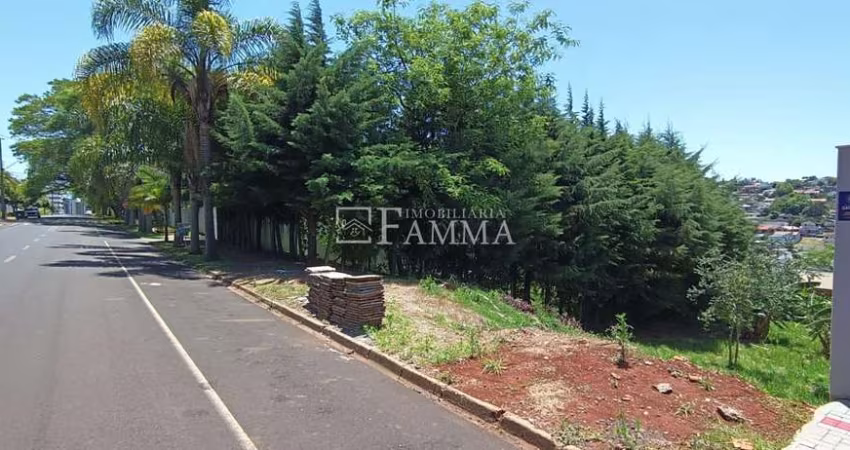 LOTE DISPONÍVEL PARA VENDA, CENTRO, PATO BRANCO - PR