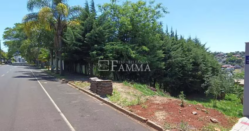 Lote disponível para venda, centro, pato branco - pr