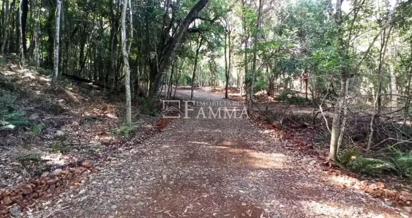 Chácara / sítio à venda na Estrada Passo da Ilha, Zona Rural, Pato Branco