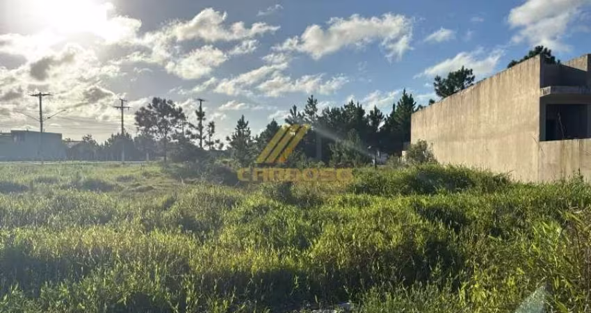TERRENO PARA INVESTIMENTO