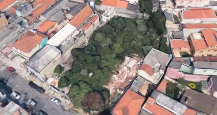 Terreno para aluguel, vila paulo silas - são paulo/sp