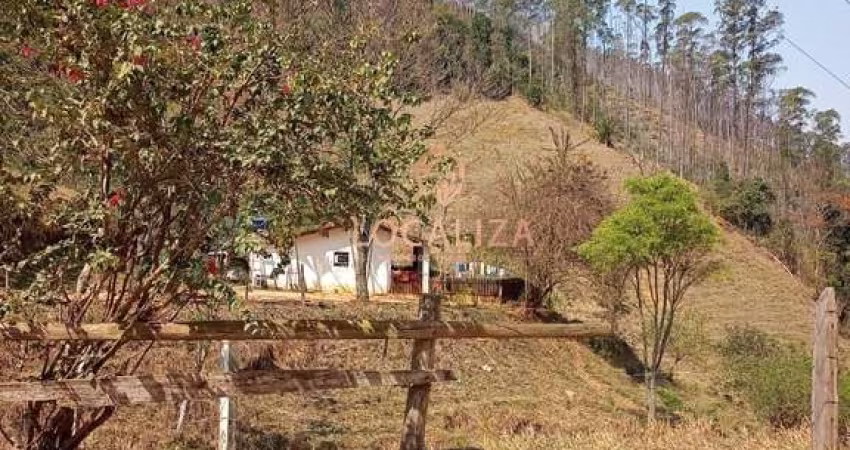 Fazenda de EUCALIPTO e GADO / 337 hectares / 02 casas (principal e empregados ) / Escriturada / Areias ? SP