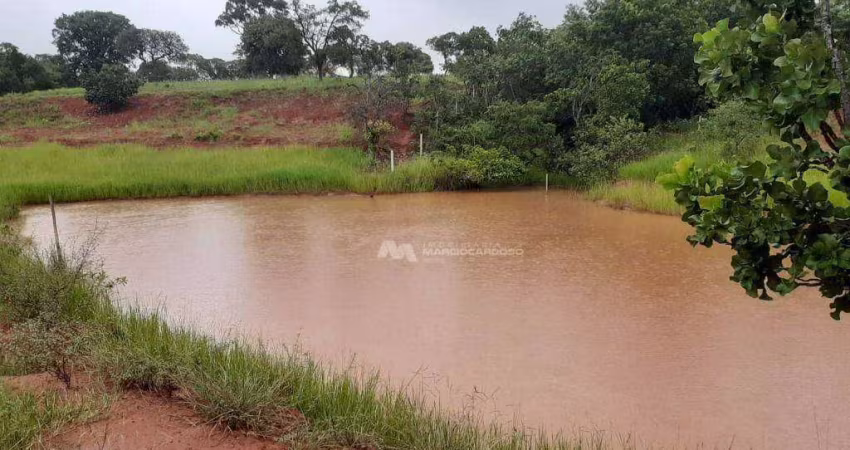 Sítio com 1 dormitório à venda, 694703 m² por R$ 3.000.000,00 - Zona Rural - Campina Verde/MG