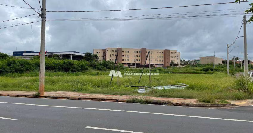 Terreno à venda, 1217 m² por R$ 2.434.000,00 - Jardim Suzana - São José do Rio Preto/SP