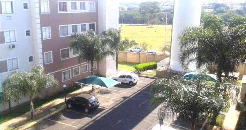 Apartamento com 2 dormitórios, 51 m² - venda por R$ 190.000,00 ou aluguel por R$ 1.620,00/mês - Caparroz - São José do Rio Preto/SP