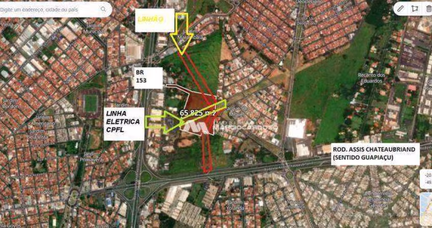 Área à venda, 55700 m² por R$ 23.700.000,00 - Jardim Primavera - São José do Rio Preto/SP