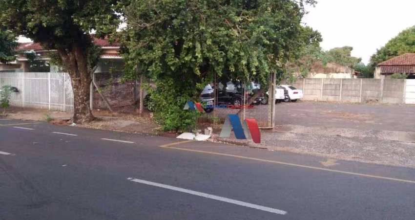 Terreno à venda, 1618 m² por R$ 5.000.000,00 - Centro - São José do Rio Preto/SP