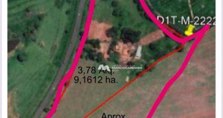 Área à venda, 167000 m² por R$ 20.000.000,00 - Fazenda Palhinha (Zona Rural) - São José do Rio Preto/SP