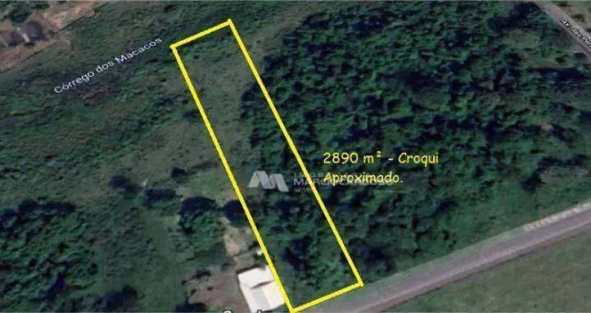 Área à venda, 2890 m² por r$ 2.400.000,00 - loteamento parque dos pássaros - são josé do rio preto/sp