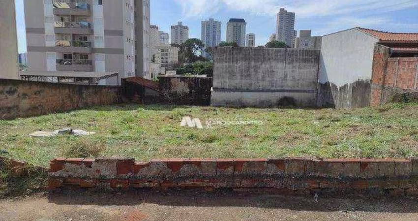 Terreno à venda, 800 m² por R$ 1.365.000,00 - Cidade Nova - São José do Rio Preto/SP