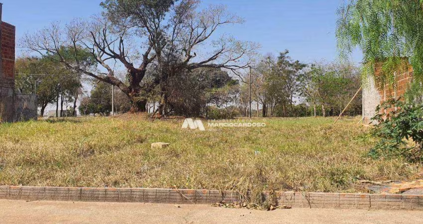 Terreno à venda, 200 m² por R$ 100.000,00 - Parque Vila Nobre - São José do Rio Preto/SP