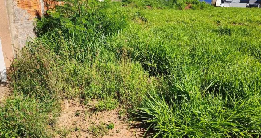 Terreno à venda, 200 m² por R$ 80.000,00 - Parque Maria Serantes - São José do Rio Preto/SP