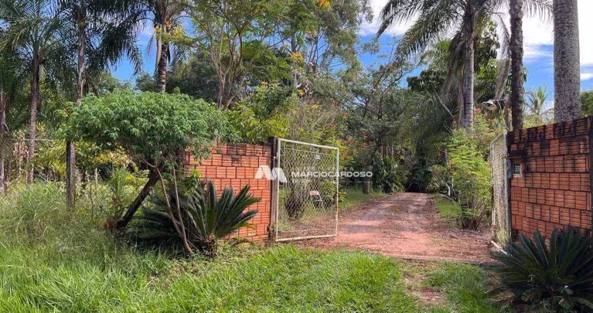 Chácara com 3 dormitórios à venda, 5000 m² por r$ 700.000,00 - terra de são lucas (zona rural) - são josé do rio preto/sp