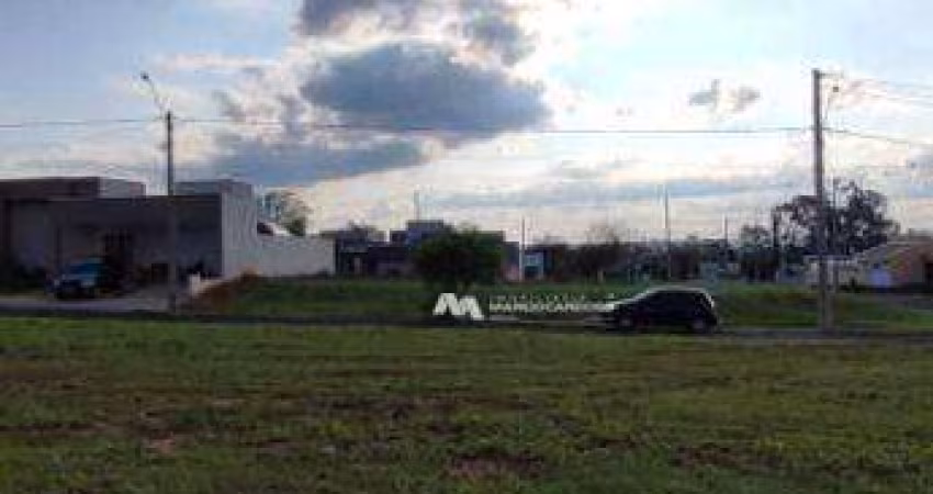 Terreno à venda, 253 m² por R$ 110.000,00 - Condomínio Bella Vitta - Bady Bassitt/SP
