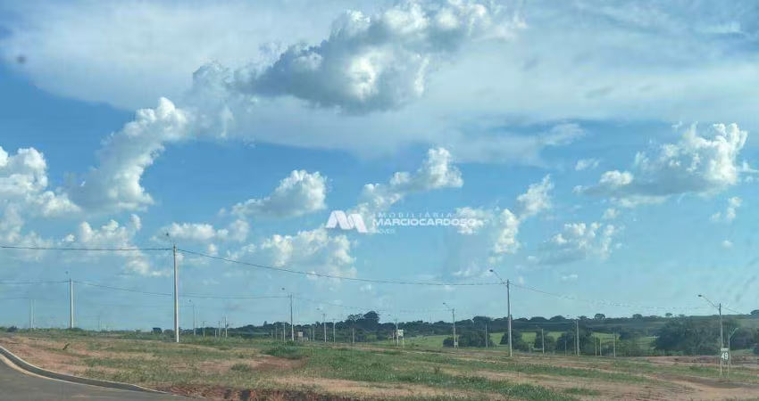 Terreno à venda, 262 m² por R$ 155.000,00 - Fazenda Palhinha (Zona Rural) - São José do Rio Preto/SP